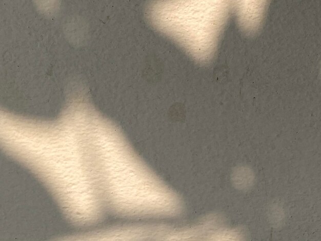 Una pared blanca con la sombra de una planta.