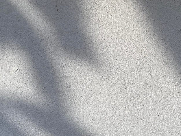 Una pared blanca con sombras de hojas y un árbol al fondo.