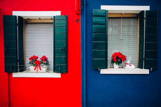 Pared brillante con ventanas y flores