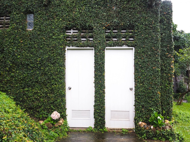 Pared de la casa cubierta con planta de vid verde y puertas blancas en temporada de lluvias