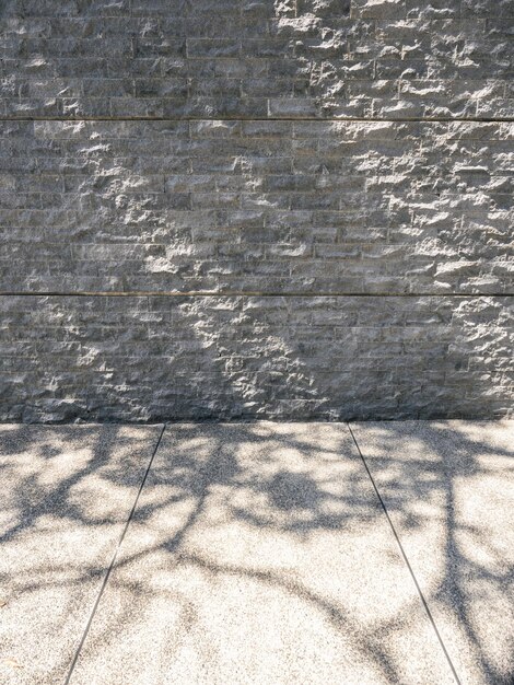pared de cemento gris con sombra de árbol