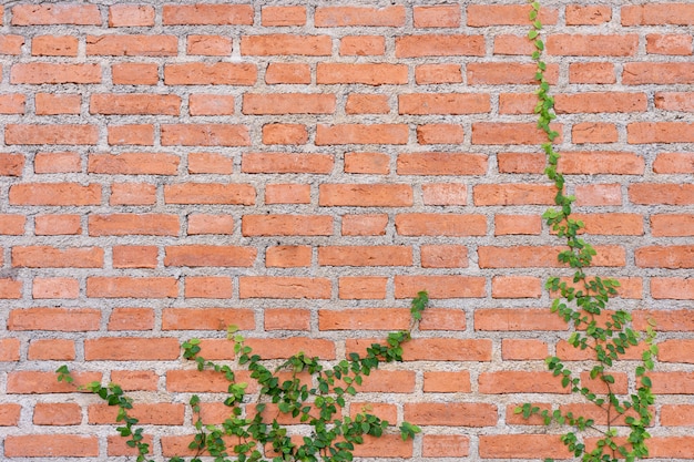 La pared está hecha de ladrillo y luego pintada en blanco.