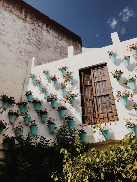 Pared con flores de colores