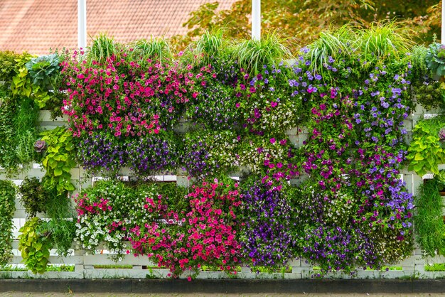 pared de flores frescas de colores