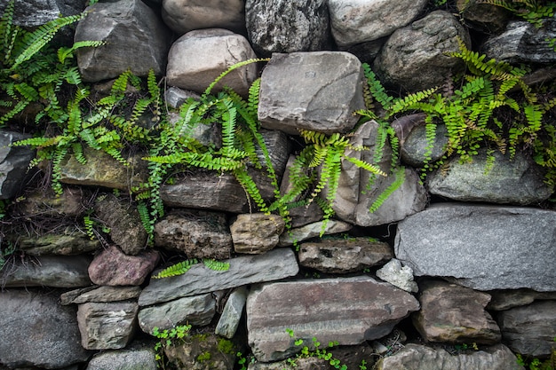 Pared de grunge