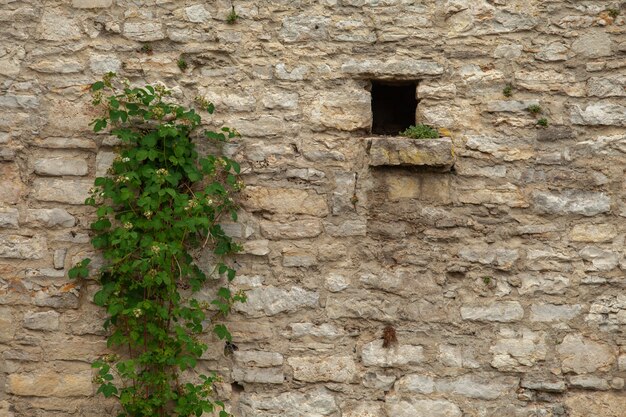 Foto pared de ladrillo de un antiguo castillo
