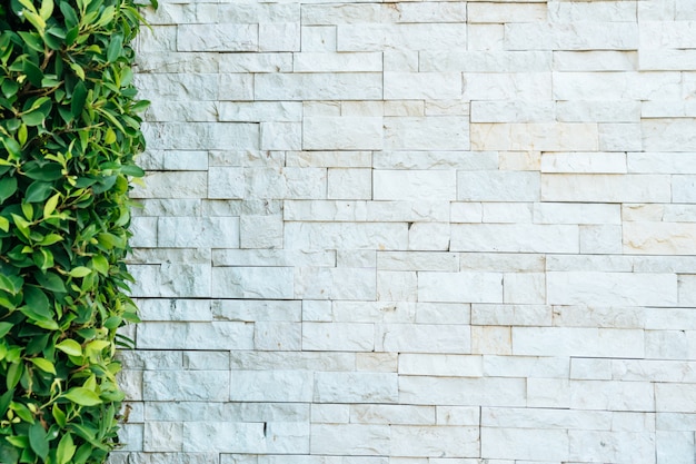 Pared de ladrillo blanco con licencia verde y copia espacio de fondo.