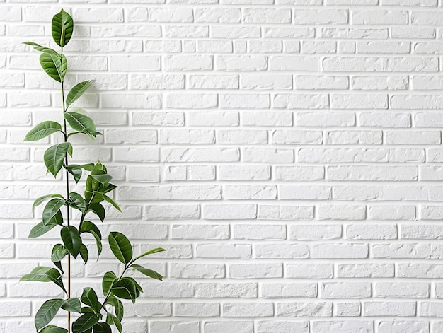 pared de ladrillo blanco con planta