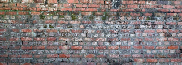 Pared de ladrillo como fondo o espacio de copia de textura