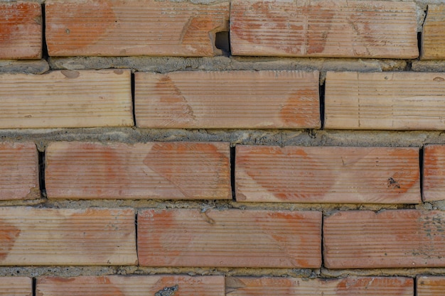 pared de ladrillo como fondo bajo el sol