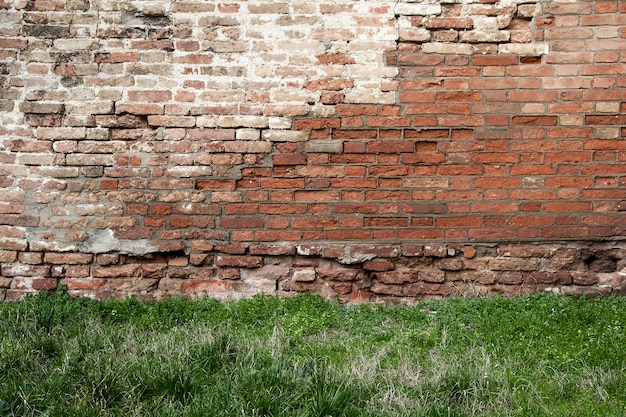 Pared de ladrillo y hierba