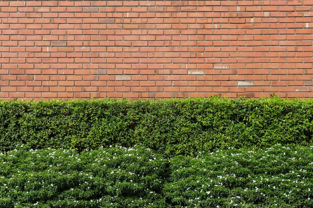 pared de ladrillo marrón