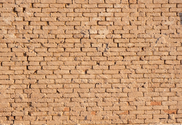 Pared de ladrillo una pared de ladrillo con una hermosa textura en un pequeño pueblo de Brasil foco selectivo de luz natural