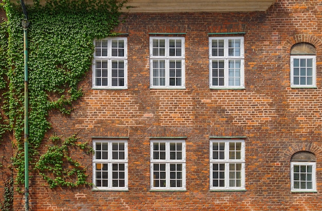 Pared de ladrillo con seis ventanas en Copenhague