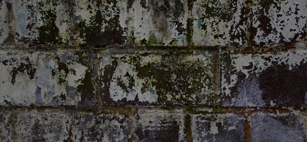 pared de ladrillo con textura vintage