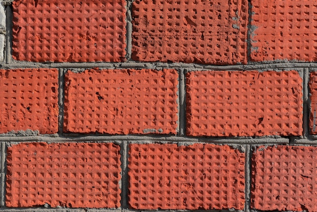 pared de ladrillos de luz roja.