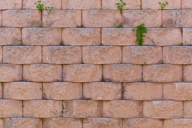 Pared maciza de bloque de hormigón en relieve