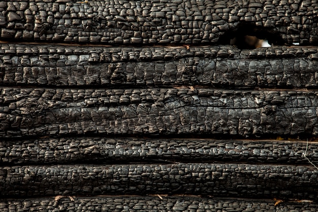 Pared de madera carbonizada quemada negra. Textura sucia