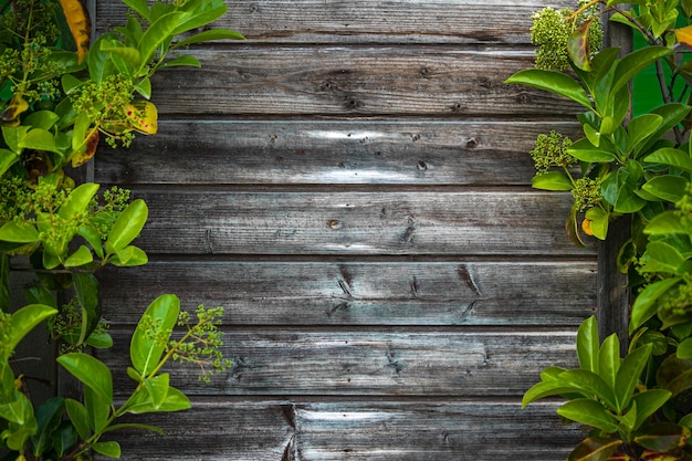 Foto una pared de madera hecha de revestimiento con hojas de color verde claro brillante a lo largo del contorno. maqueta para diseño con hojas tropicales.