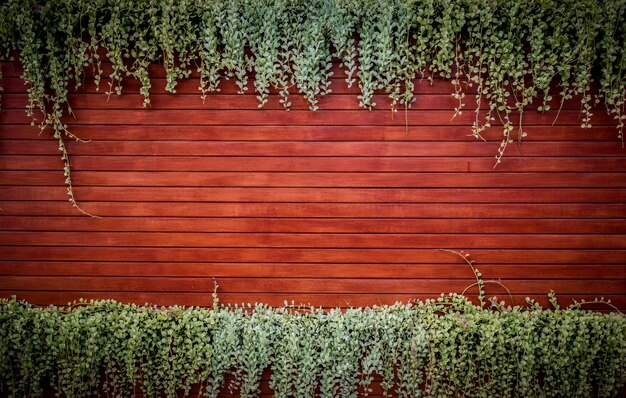 Pared de madera naranja con follaje