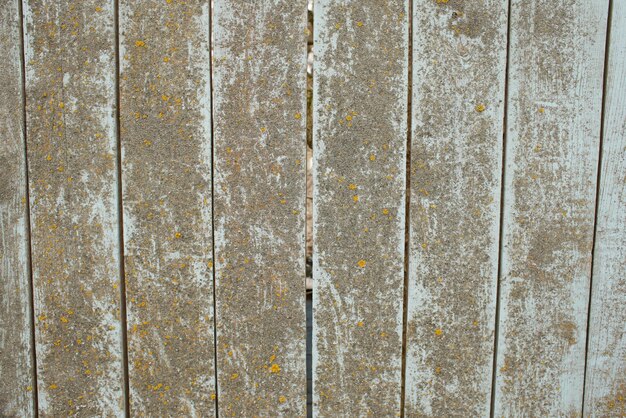 Pared de madera con textura de madera de colores callejeros