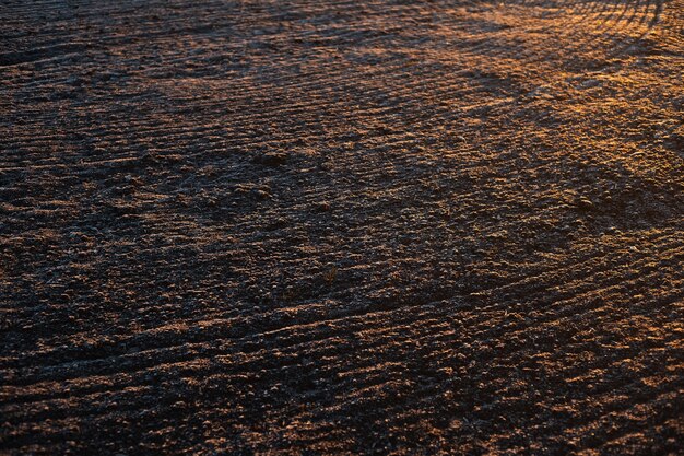 Pared natural de la superficie del suelo con efecto de luz saturada del amanecer.