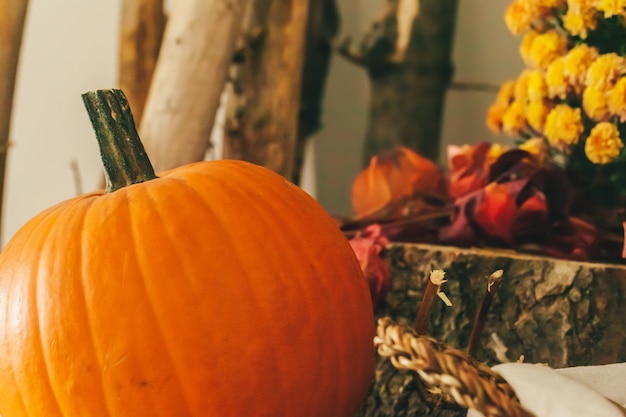 Pared de otoño con calabaza de cerca en la mesa