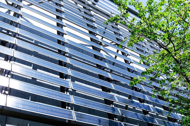 Pared de panel solar en edificio con hojas de árbol