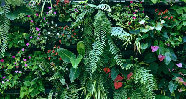 Pared de plantas con exuberantes colores verdes, variedad de plantas de jardín forestal en las paredes, orquídeas, hojas de helecho, palma