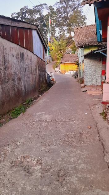 una pared con una puerta amarilla que dice " detenerse ".