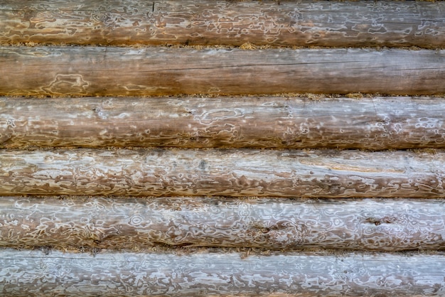 Pared de troncos de madera vieja de la casa. Textura de madera vintage.