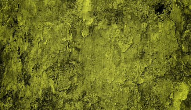 Una pared verde con un fondo amarillo y la palabra "verde".