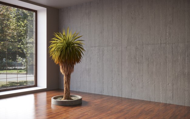Pared de yeso negro de la habitación vacía con árbol bonsai en diseño de plantilla de maceta 3d renderizado 3d illustrati