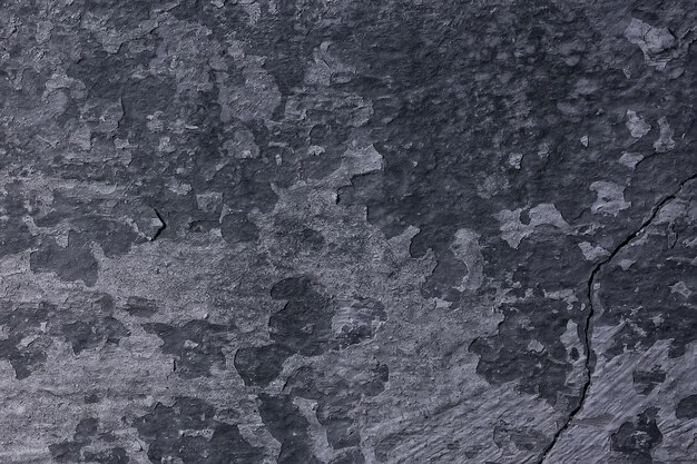 Foto parede cinza estuque grunge, fundo abstrato parede cinza em branco