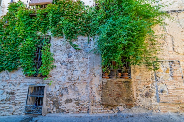 Parede da casa de pedra com vinhas de plantas verdes nas ruas da cidade espanhola de Toledo