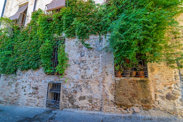 Parede da casa de pedra com vinhas de plantas verdes nas ruas da cidade espanhola de Toledo