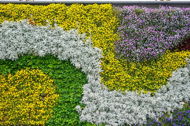 Parede da planta da flor