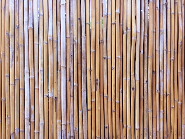 Parede de bambu ou fundo de textura de cerca de bambu