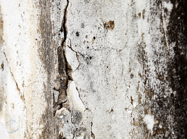 Parede de cimento envelhecido velho com casca de cor revelou manchado textura rústica de fundo