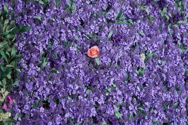 Parede de flores de lavanda, flores artificiais, luz volumétrica, vistas gerais, fundo vivo, boa textura