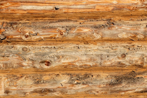 Parede de madeira velha com textura de fundo de toras