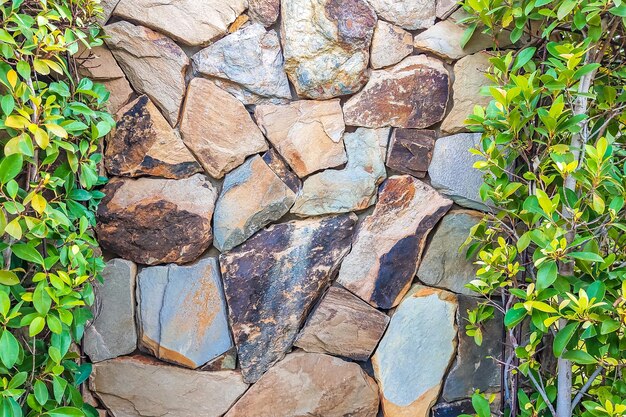 Parede de pedra cinzenta castanha com folhas verdes em ambos os lados Fundo com espaço de cópia