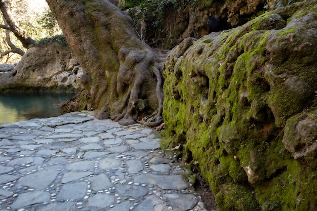 Parede de pedra coberta de musgo