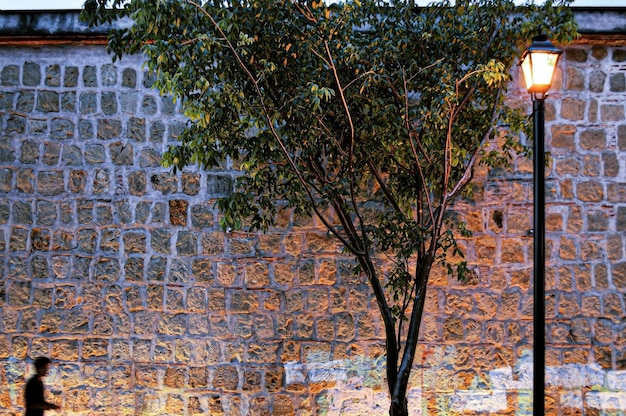 Parede de pedra com iluminação pública com uma árvore na frente da parede