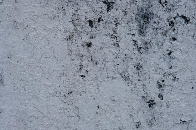 paredes ásperas de gesso branco com manchas pretas. superfície de cimento de gesso resistida.