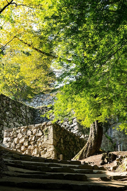 Paredes del castillo de Bitchu Matsuyama en Okayama