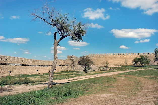 Paredes del castillo medieval Ackerman