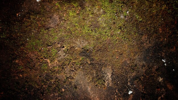 Paredes de fundo de textura de parede velha escura cheias de arranhões e musgo