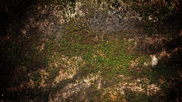 Paredes de fundo de textura de parede velha escura cheias de arranhões e musgo