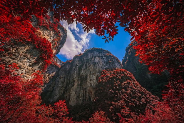 Paredes de rocha verticais maciças no Parque Nacional Wulong no outono